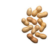 Group of unshelled peanuts, scattered randomly on a transparent background. png