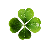 Four leaf clover isolated on transparent background png
