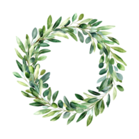 Hand-painted watercolor wreath of olive branches ideal for packaging and seasonal invitations png