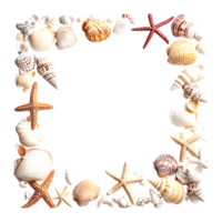 Decorative Watercolor Seashells and Starfish Border on a transparent background png