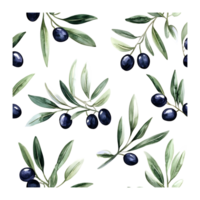 Olive Branches and Black Olives Watercolor Pattern on a transparent background png
