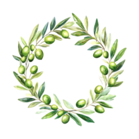 Olive Wreath with Green Olives in Watercolor on a transparent background png