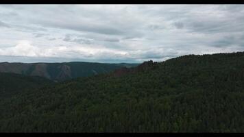 A Majestic Forested Landscape With Towering Mountains in the Background video