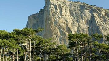 A Majestic Mountain Standing Tall Above a Lush Forest Filled With Towering Trees video