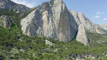 A Majestic Mountain Range with Towering Trees and Serene Background Peaks video