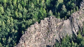 A Majestic Forest Canopy with Towering Trees, Serene Rocks, and an Aerial Perspective video