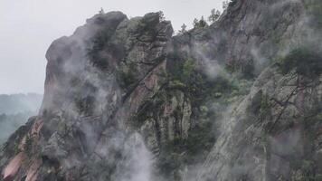 Majestic Misty Mountain Peaks Shrouded in Steam and Fog, Embracing the Enchanting Forest video