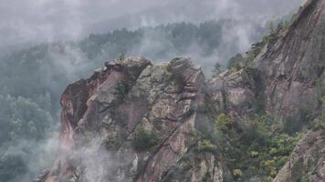 Majestic Peaks Shrouded in Mystical Fog and Enveloped by Towering Trees video