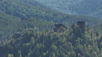 A Majestic Cluster of Moss-Covered Rocks Amidst the Enchanting Forest Canopy video