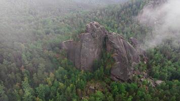 A Mystical Forest Shrouded in Enchanting Fog, Centered Around a Majestic Rock video