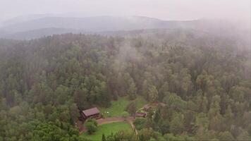 A Cozy Cabin Nestled Amidst Towering Trees and Serene Nature video