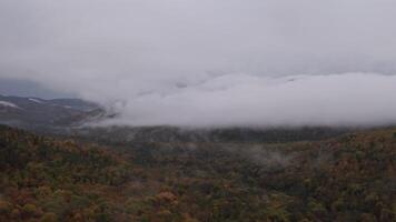 Aerial View of Valley With Trees and Mountains video