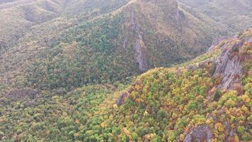 Aerial View of Mountain Range With Trees in Foreground video