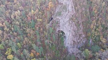 Aerial View of the Rock Cave Surrounded by Trees video