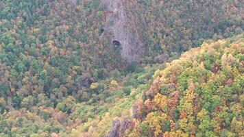 Aerial View of Forest With Cave in the Middle video