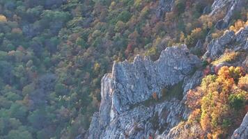 Aerial View of Fall Trees on Mountain Side video