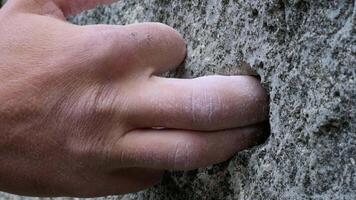 The Serene Touch of Humanity. A Hand Connecting with Nature's Ancient Solidity video