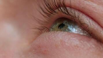 A Mesmerizing Gaze. A Close-Up of a Person's Eye with Long Lashes video