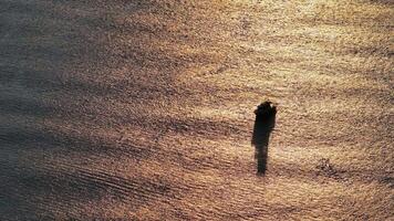 The Solitary Figure Embracing Serenity in the Vastness of the Calm Waters video