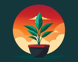 A plant in a pot with a sunset in the background vector