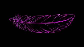 Neon frame effect, Feather Symbolizes lightness and artistic expression on black background video