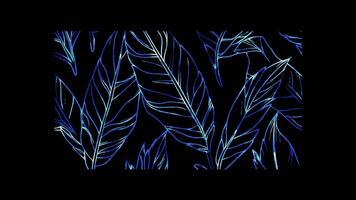 Neon frame effect, Feather Symbolizes lightness and artistic expression on black background video