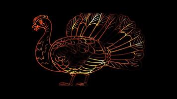 Neon frame effect, Turkey A traditional symbol of Thanksgiving on black background video