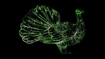 Neon frame effect, Turkey A traditional symbol of Thanksgiving on black background video