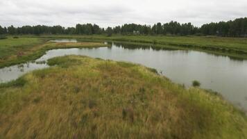 Summer calm landscape without people. Stock footage. Green background with a lake and grass overgrown in a circle against a white cloudless sky. video
