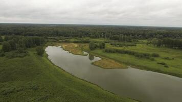 A calm deserted landscape from a bird's-eye view. Stock footage. A green clearing with a river overgrown with forest in a circle. video