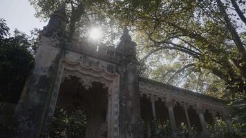A large arch in the forest. Action. Gray historical old arch on which the rays from the sun fall. video