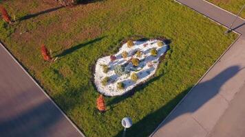 Garden composition with white stones. Clip. Top view of modern garden in city center. Landscape design of bushes and lawn with stones video