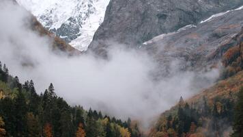 brouillard rapidement descend dans le gorge. créatif. magnifique Montagne paysage dans des nuages, laps de temps effet. video