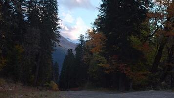 Beautiful calm landscape in a peaceful place with nature. Creative. Overgrown multicolored trees along the road in the distance can be seen walking tourists against the backdrop of large mountains. video