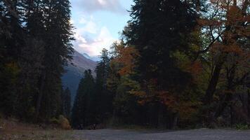 Beautiful calm landscape in a peaceful place with nature. Creative. Overgrown multicolored trees along the road in the distance can be seen walking tourists against the backdrop of large mountains. video