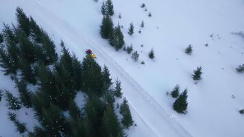 Top view of snowmobile in forest. Clip. Single snowmobile driving on winter highway in forest. Snowmobile rides through winter forest video