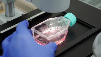 Substance in container under microscope. Stock footage. Jar with analysis in laboratory with microscope. Liquid in jar is checked under microscope video