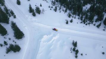 Top view of snowmobile in forest. Clip. Single snowmobile driving on winter highway in forest. Snowmobile rides through winter forest video