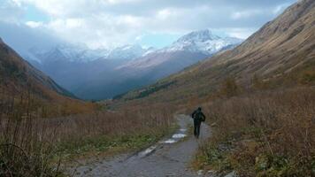 Tourist hiker walking on a rocky hiking path along giant mountains. Creative. Lonely man walking in a gorge along yellow grass. video