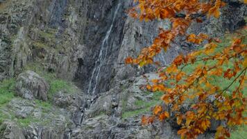 Beautiful view of valley with river and streams flowing and falling down. Creative. Autumn landscape with rocks. video