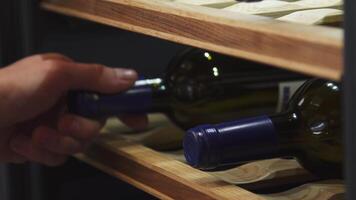 Wine cellar. Animation. Closely removed shelves with expensive wine that lie on special shelves indoors. video