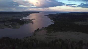 Calm summer evening view of the fields. Clip. A long spreading lake surrounded by forest and green fir trees with beautiful purple-tinged fragments. video