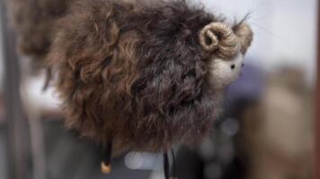 Soft toys. Art. A brown piece of a smiling sheep that is tied on a string. video