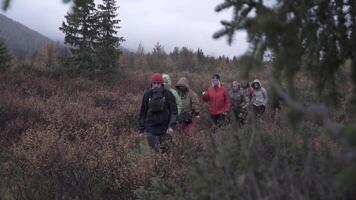 Expedition to the fields. Clip. A group of people with escorts go hiking in the mountains in warm clothes in an empty forest area. Use only for editorial. video
