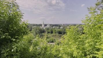 Summer calm landscape. Art. A calm view with green deciduous trees and large towers visible from behind. video