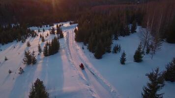 View of the winter landscape from a helicopter. Clip. A winter forest with bald trees in which people ride a snowmobile and the bright rays of the sun are visible. video