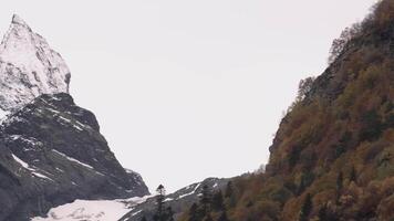 View of mountain slopes with trees and rocky snow peaks. Beautiful mountain landscape with contrasts of territories. Trees and snow rocks in mountains video