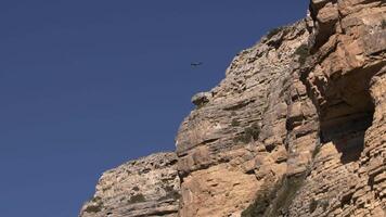 Eagle flying at rocks on background of blue sky. Eagle flies in sky near rocks. Beautiful Eagle flight in sky on sunny day video