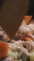 Cooking a chicken with vegtables in a frying pan. Concept. Close up of stirring and simmering vegetables and meat with a wooden food turner, healthy diet. video