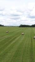 Big hay bale rolls on a green field with blue sky and clouds on the background. Shot. Rural landscape with mowed grass in rolls surrounded by green trees. video